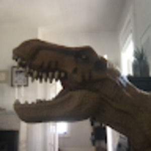 Meet your Posher, Evan